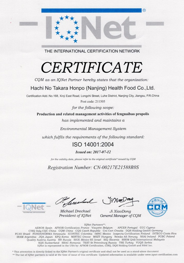 环境管理体系认证证书ISO14001 (2)
